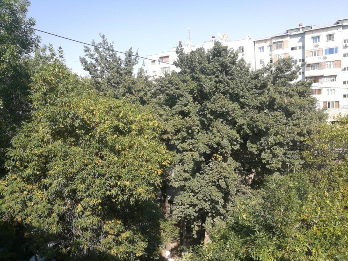 Apartment 2 Bed Room In The Center Апартамент 3-Х Комнатная В Центре طشقند المظهر الخارجي الصورة